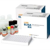 SD Dengue IgG Capture ELISA