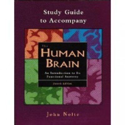 The Human Brain (4th ED)