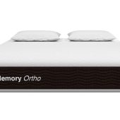 Molty Memory Ortho ORTHO SERIES