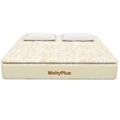 Molty Plus SERIES