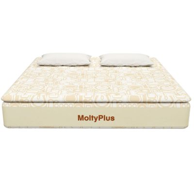 Molty Plus SERIES