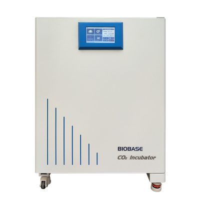CO2 Incubator(BJPX-C50II)