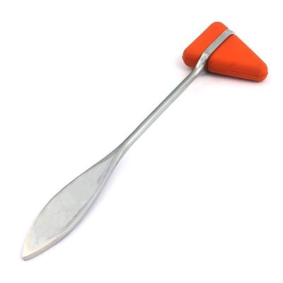 Neurological Reflex TAYLOR PERCUSSION Hammer