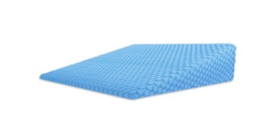best Molty Baby Wedge pillow for acid reflux