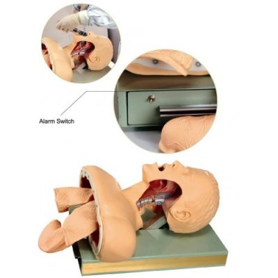 advanced airway intubation training simulator soft