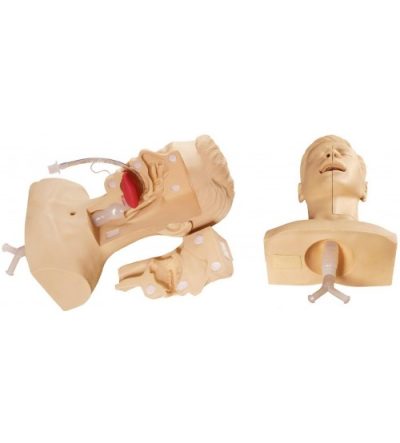 advanced suction training model soft