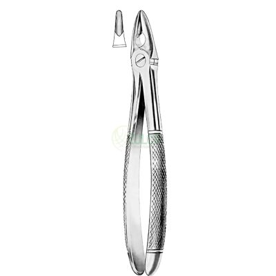 extracting forceps english pattern