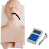 human trachea intubation simulator soft
