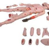 trauma nursing care manikin soft